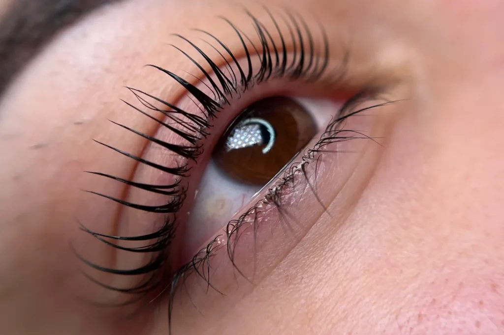 Korean Lashlift