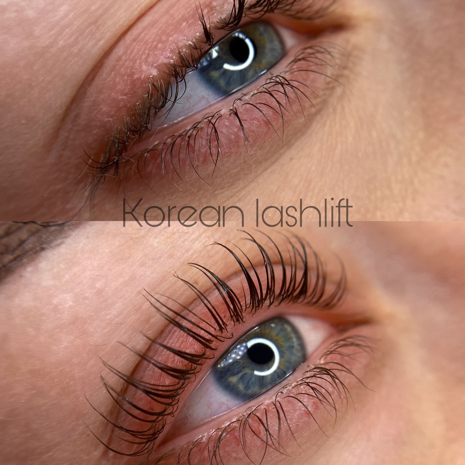 korean-lashlift-vennety (1)
