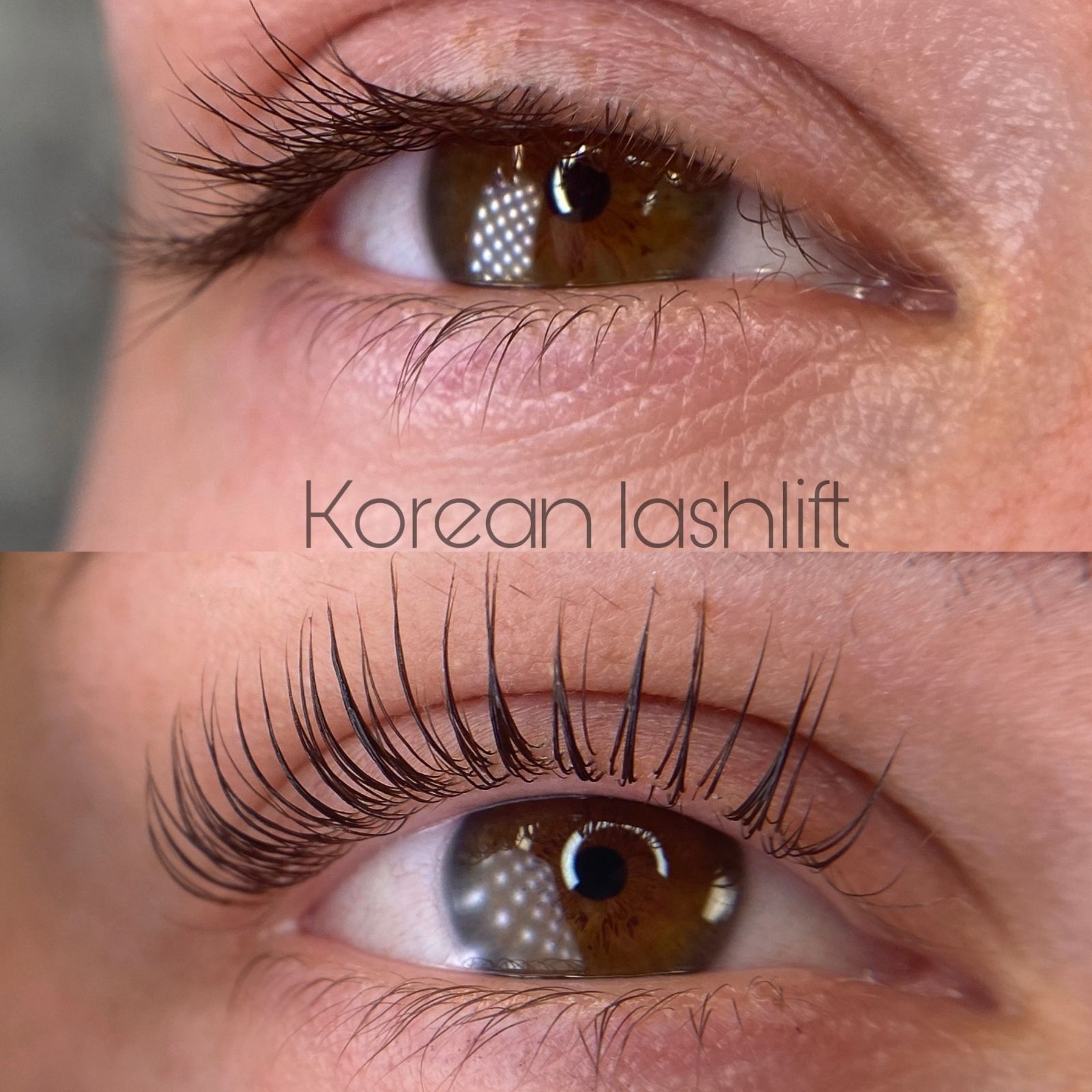 korean-lashlift-vennety (4)